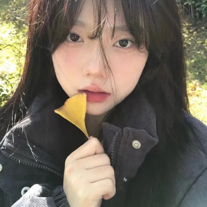 影与雾
